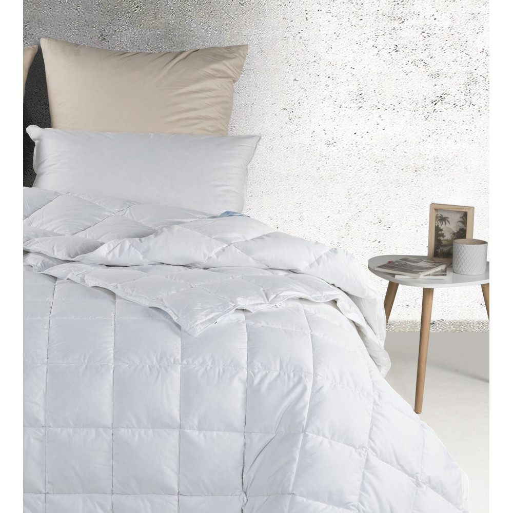 Piumone Stagioni Economico Papavero: 70% Piumino d'Oca Piumarte