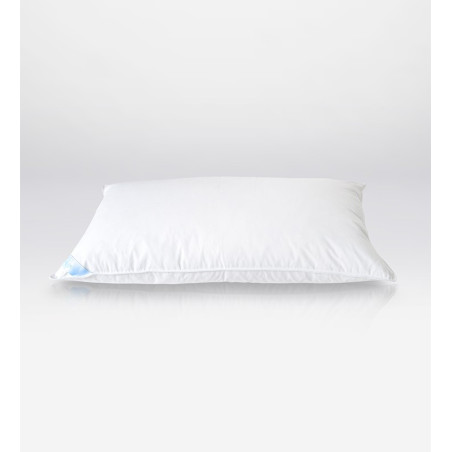 Aquilegia pillow: 100% soft small feathe - middle supporter| Piumarte