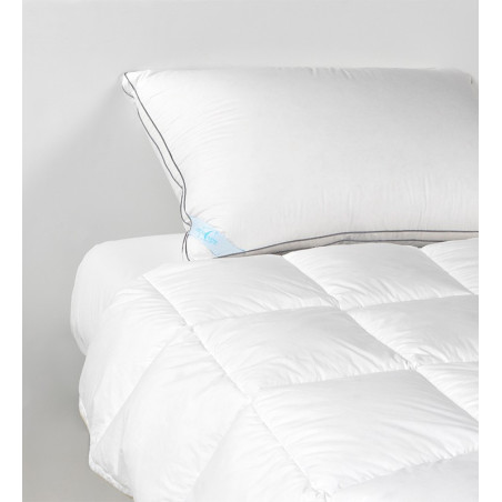 Pillow Elicriso Supportive - Pillow 3 rooms | Piumarte