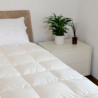 Trapunta Letto Estiva Arcobaleno 90% Piumino Europeo | Piumarte