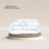 Econimic down duvet: 70% european goose down, 30% feathers | Piumarte