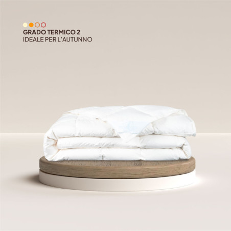 Piumone 90% piumino RICICLATO GRS-tess. Percalle  Non  Sbiancato - art. GIGLIO DI CAMPO-PRIMAVER/AUTUNNO