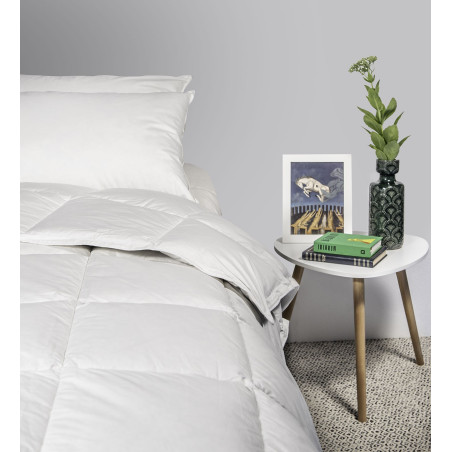 Piumone 100% piumino d'oca - tess. Satin Bianco - art. BUCANEVE - INVERNALE