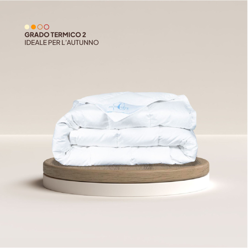 Piumone 100% piumino d'oca - tess. Satin Bianco - art. BUCANEVE - PRIMAVERA/AUTUNNO Piumone 100% piumino d'oca - tess. Satin Bianco - art. BUCANEVE - PRIMAVERA/AUTUNNO. Piumone 100% piumino d'oca - tess. Satin Bianco - art. BUCANEVE - PRIMAVERA/AUTUNNO