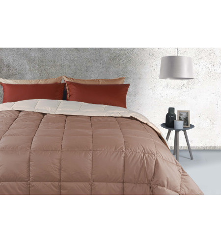 trapunta ARCOBALENO 90%PIUMINO 270X260 - INVERNO MITE col. CAFFE' LATTE/ECRU'