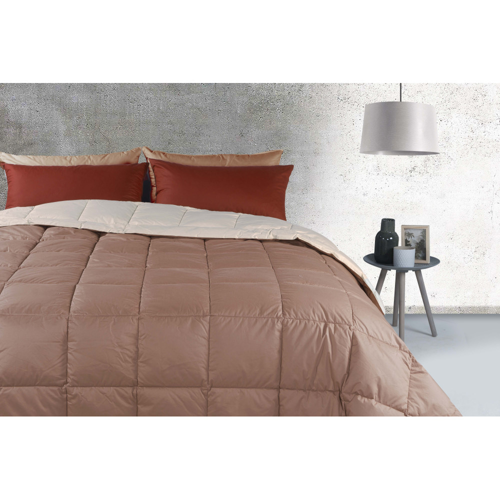 trapunta ARCOBALENO 90%PIUMINO 270X260 - INVERNO MITE col. CAFFE' LATTE/ECRU' trapunta ARCOBALENO 90%PIUMINO 270X260 - INVERNO MITE col. CAFFE' LATTE/ECRU'. trapunta ARCOBALENO 90%PIUMINO 270X260 - INVERNO MITE col. CAFFE' LATTE/ECRU'